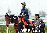 2013 Meydan Horse Racing Course Training Mar 28th