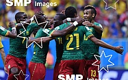 2014 FIFA World Cup Football Brazil v Cameroon Jun 23rd