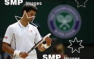 2013 Wimbledon Tennis Mens Semi-Finals July 5th
