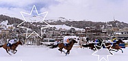 2014 White Turf St Moritz  Feb 9th