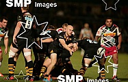 2014 European Rugby Champions Cup Wasps v Harlequins Oct 26th