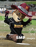 Brisbane Bandits Mascot