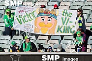 VICTOR THE VIKING