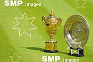 2013 Wimbledon Trophies July 1st