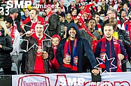 Arsenal Fans at Arsenal vs Sydney FC