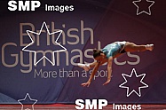 2015 British Gymnastics Championship Series Day 2 Jul 31st
