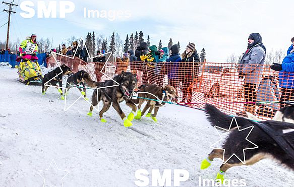 2015 Iditarod Dogsled Race Fairbanks Mar 9th