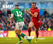 2014 RBS 6 Nations International Rugby Ireland v Wales Feb 8th