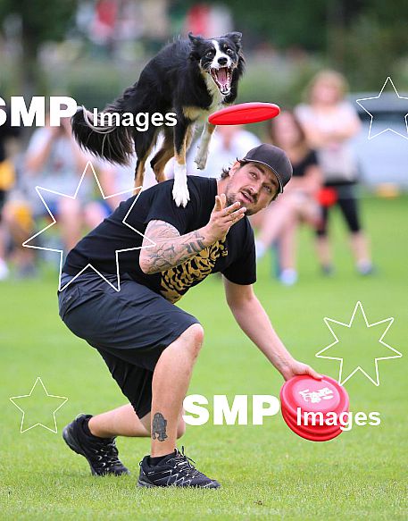 2013 Frisbee Dog Competition Karlsruhe Aug 31st