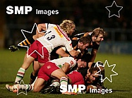 2014 European Rugby Champions Cup Wasps v Harlequins Oct 26th