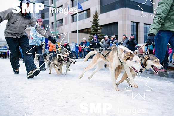 2015 Iditarod Dog Sleigh Endurance Race Start Mar 7th