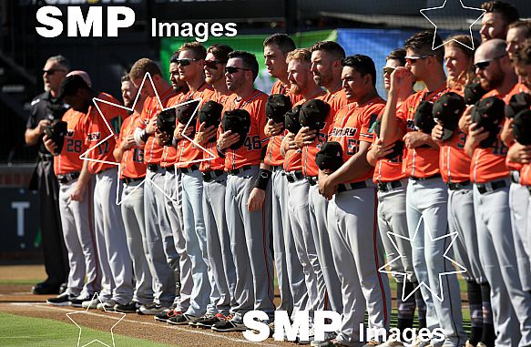 Canberra Cavalry