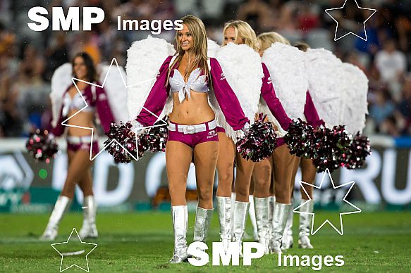 Manly Seabirds