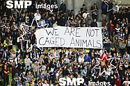 Melbourne Victory supporters Protest