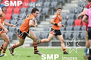 EASTS TIGERS