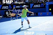 2015 Australian Open Tennis Melbourne Day 10 Jan 28th