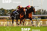 2012 Tokyo Cup Horse Racing Tokyo Japan Nov 25th