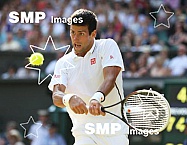 2013 Wimbledon Tennis Mens Semi Finals July 5th